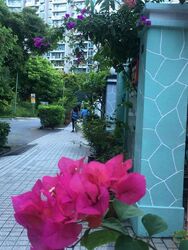 Emerald Hill Road (D9), Terrace #458872081